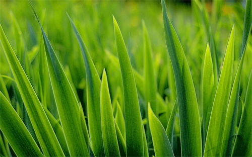 松花江汽车内饰件怎么样，松花江面包车怎么样